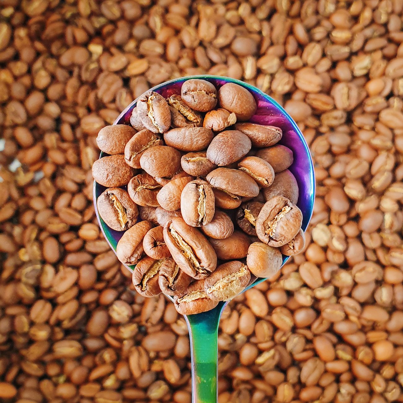 Espresso Blend, mletá